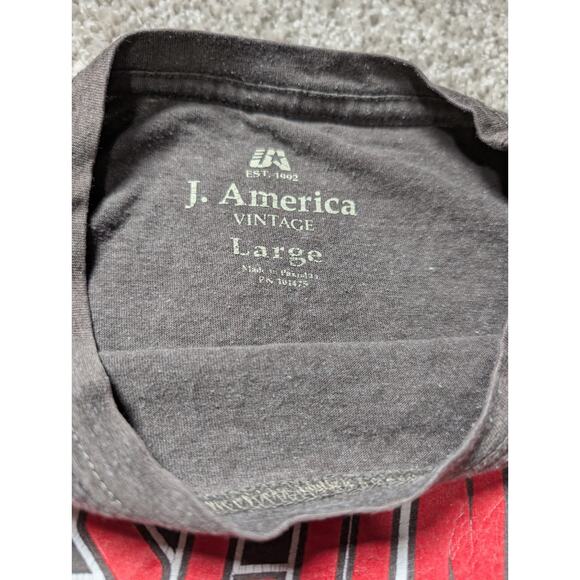 Wisconsin Badgers Shirt Mens Large Gray Logo Graphic Tee Athletic Top - Picture 3 of 5